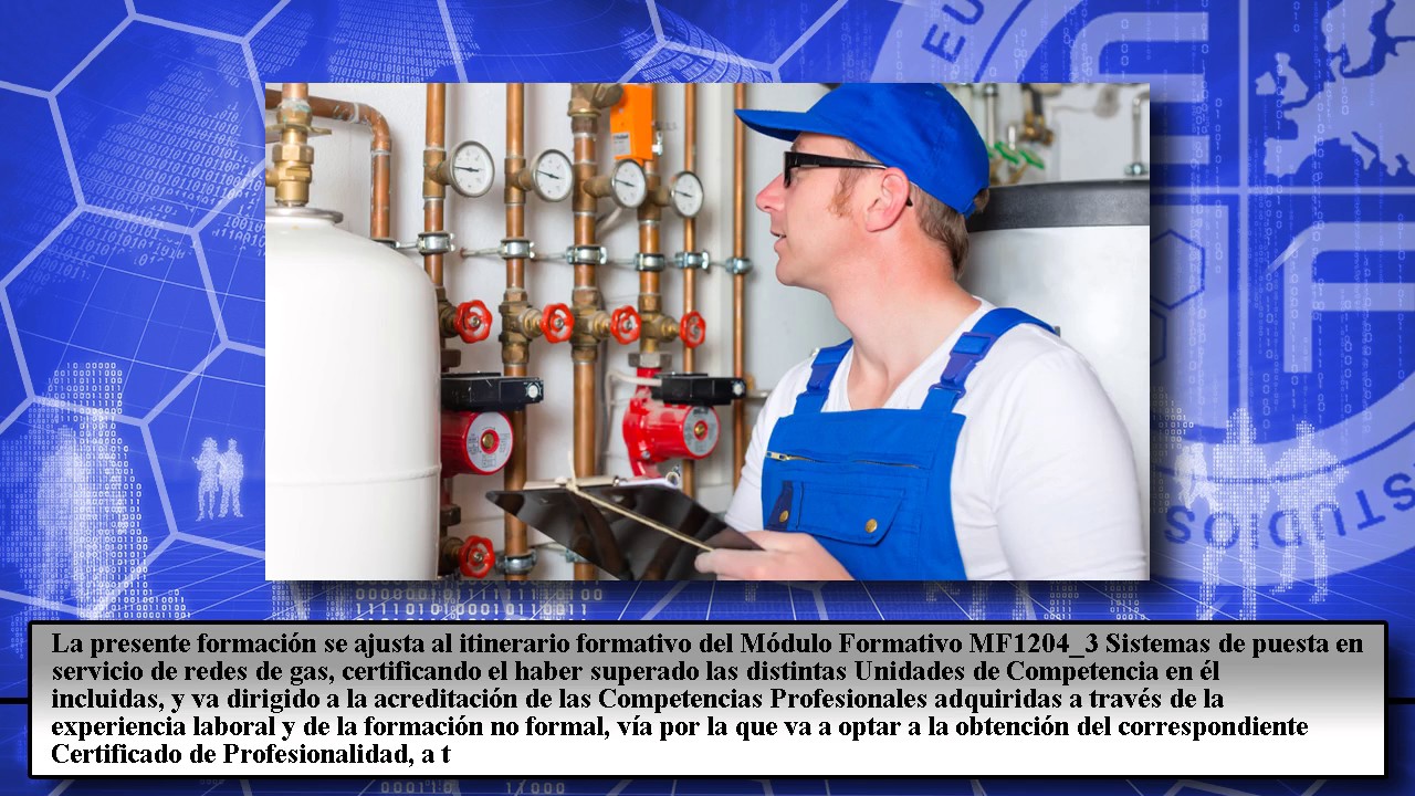 Expertos en Reparación de Calderas a Gas Certificados
