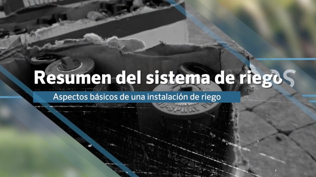 Reparación Eficiente de Sistemas de Fontanería en Comercios