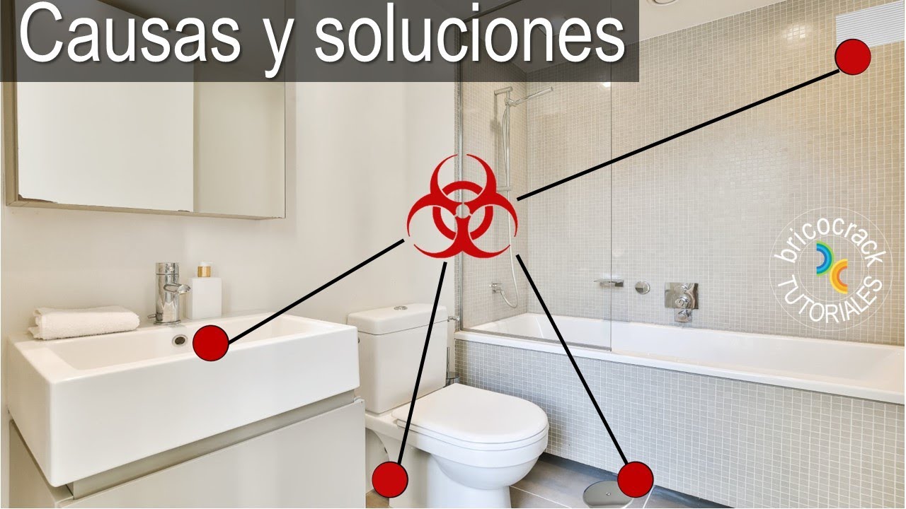 Reparación Eficiente de Botes Sifónicos en la Ciudad